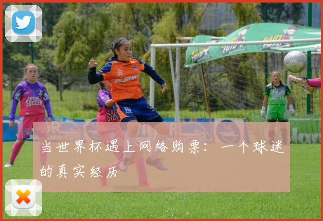当世界杯遇上网络购票：一个球迷的真实经历
