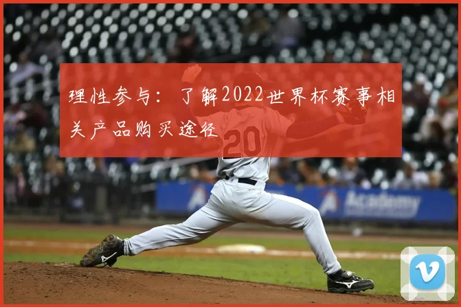 理性参与：了解2022世界杯赛事相关产品购买途径