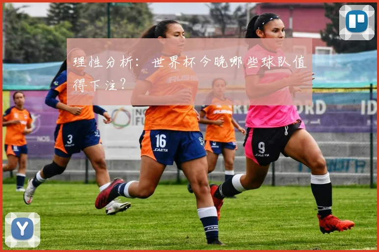 理性分析：世界杯今晚哪些球队值得下注？