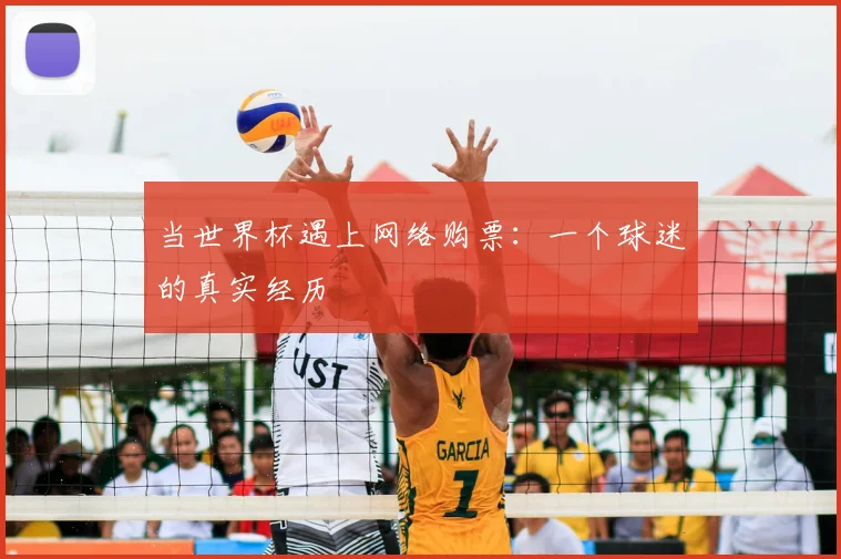 当世界杯遇上网络购票：一个球迷的真实经历