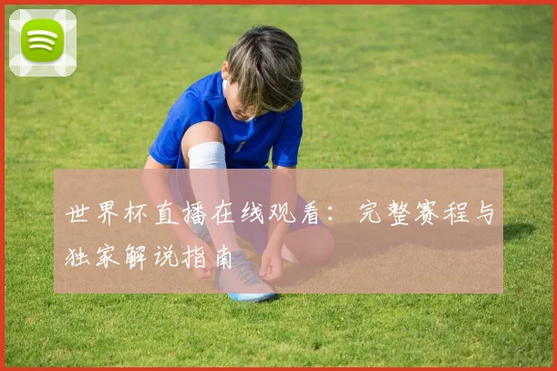 世界杯直播在线观看：完整赛程与独家解说指南