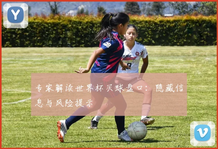 专家解读世界杯买球盘口：隐藏信息与风险提示