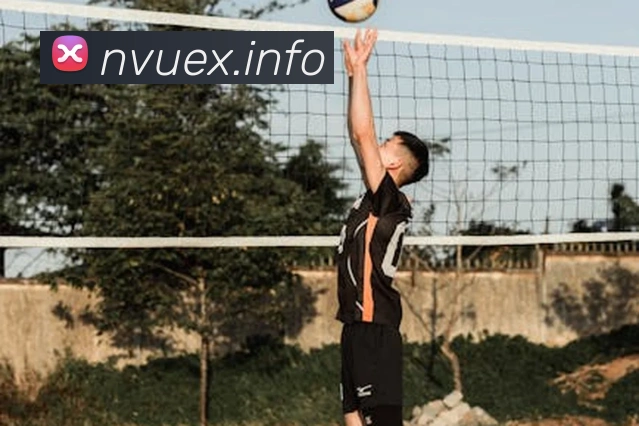 九游版官网入口全站App